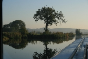Tree reflected
